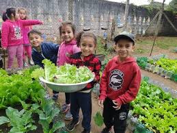 Horta Comunitária em Terreno Abandonado